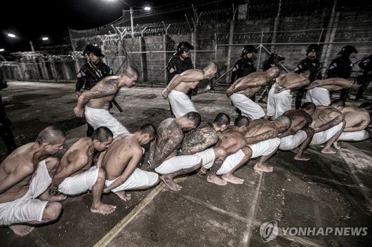 엘살바도르 테러범수용센터(CECOT·세코트)로 이송되는 현지 갱단원들 [사진 출처 = EPA 연합뉴스]