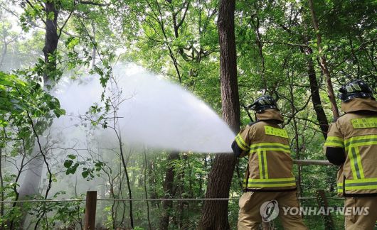 지난 3일 서울 노원구 공릉동 삼육대학교에서 소방대원들이 물을 뿌리며 러브버그 현장 방제활동을 하고 있다. [사진 출처 = 연합뉴스]