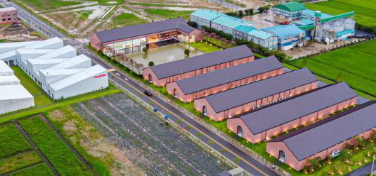 전남 화순군에 있는 포프리 본사 모습. 건물 사이에 있는 연못 위쪽이 본사 사무실, 아래 5개 동은 식품공장이다.<사진제공=포프리>