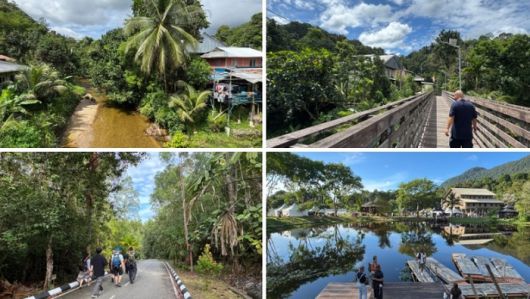 보르네오 열대우림 풍경 / 사진=홍지연 여행+ 기자