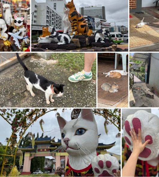 쿠칭은 ‘고양이의 도시’로 불린다. 도시 곳곳에서 고양이 조각을 볼 수 있다. / 사진=홍지연 여행+ 기자