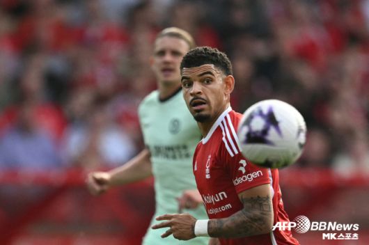 이후 영국 ‘BBC’, ‘텔레그래프’ 등에서도 “노팅엄은 ‘토트넘이 깁스 화이트를 영입하는 과정에서 불법적인 접촉이 있다’고 판단했다며 현재 노팅엄은 법적 조치를 고려 중이다. 깁스 화이트 이적 협상은 전면 중단 상태”라고 했다. 불과 하루 전까지만 해도 깁스 화이트는 큰 문제 없이 토트넘으로 향하는 듯했다. 토트넘은 깁스 화이트의 바이아웃 금액인 6,000만 파운드(한화 약 1,115억 원)를 지급하기로 했었다. 깁스 화이트의 이적은 시간문제로 보였다. 유럽 축구 이적시장 전문가 파브리시오 로마노도 “깁스 화이트가 토트넘으로 향한다”며 “거래 성사 직전으로 메디컬 테스트만 남았다”고 했었다. 사진=AFPBBNews=News1