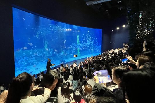 롯데월드 아쿠아리움 하노이 메인수조 / 사진=롯데월드