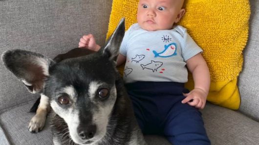 루퍼스와 질리언의 아기 [사진 = ABC7 News 캡처]