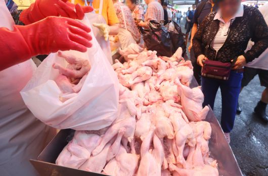 17일 서울의 한 전통시장에서 닭을 구매하는 시민들. [사진 출처 = 연합뉴스]