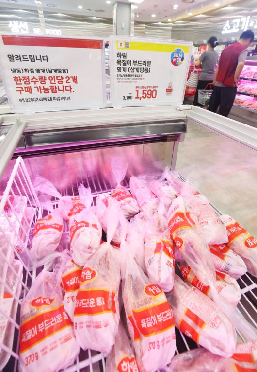 17일 서울 중구 롯데마트 서울역점에 진열된 삼계탕용 영계. [사진 출처 = 연합뉴스]