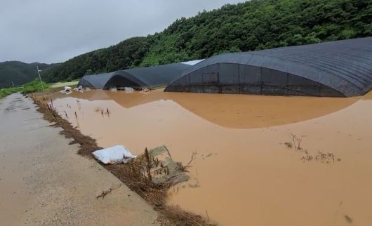폭우와 산사태가 발생한 19일 경남 산청군 신등면 딸기 하우스가 침수됐다. 독자 제공 동영상 캡처.연합뉴스