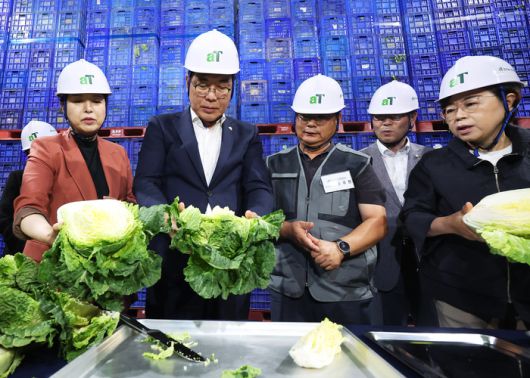 송언석 국민의힘 비상대책위원장 겸 원내대표가 폭우와 폭염으로 인한 농산물 물가 대응 점검을 위해 25일 경기도 이천시 대월면 aT 한국농수산식품유통공사 이천비축기지를 방문해 비축 배추 등을 살펴보고 있다. [사진 출처 = 연합뉴스]