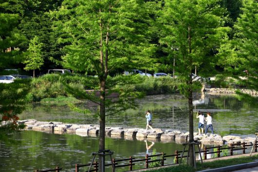 전남 담양 관방제림 / 사진 = 한국관광공사