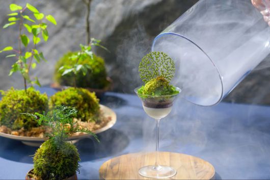 오이라세 이끼 파르페.  /사진= 호시노 리조트