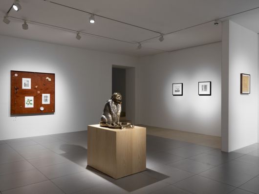 이강승·캔디스 린 작가의 2인전이 열리고 있는 서울 종로구 현대화랑 전시장 전경.  갤러리현대