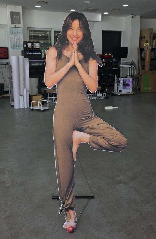 이효리 등신대. 사진|‘아난다 효리’ SNS