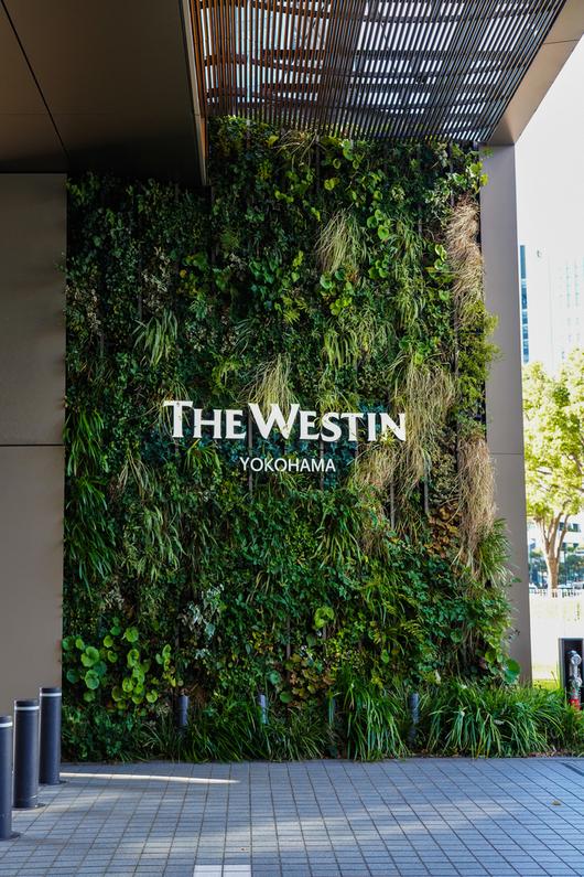 웨스틴 요코하마/사진=김지은 여행+ 기자