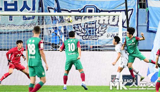 마사. 사진=김영구 기자