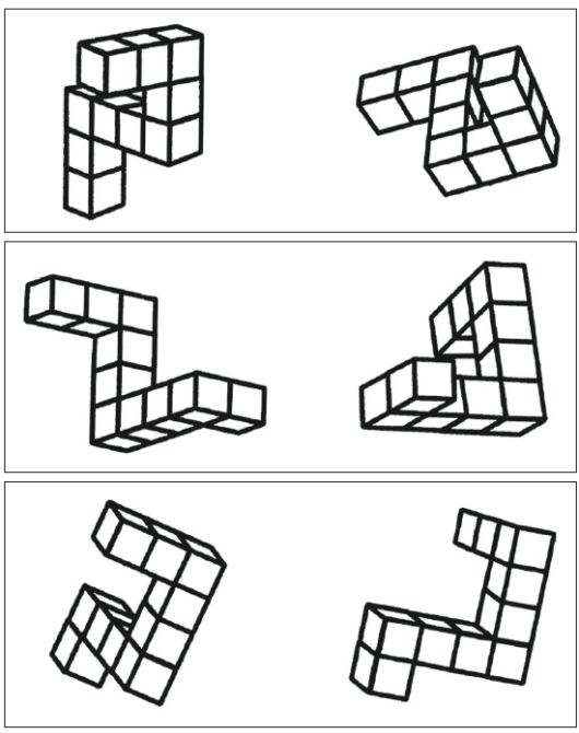 쉐퍼드(Shepard)와 메츨러(Metzler)가 발표한 논문(1971년)에 실린 ‘정신적 회전’ 실험에서 사용된 도형. 위-같은 모양이지만 종이 위에서 시계 방향이나 반대 방향으로 돌려놓은 것, 가운데-같은 모양이지만 앞뒤·위아래로 3차원 공간에서 돌려놓은 것, 아래-거울에 비친 반대 모양으로 바뀌었고, 동시에 앞뒤·위아래로 3차원에서 돌려놓은 것. 회전 각도가 클수록 같은 도형인지 판단하는 데 시간이 오래 걸렸다. 시각적으로 사고한다는 뜻이다.