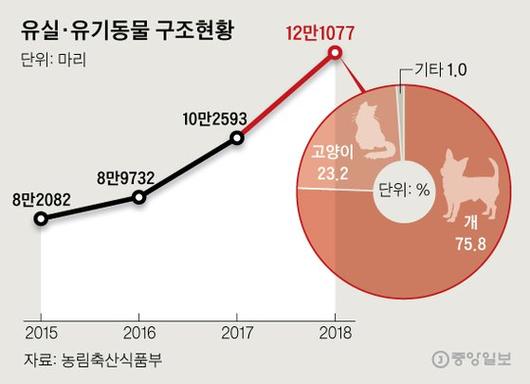 중앙일보