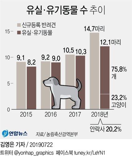 중앙일보