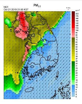 중앙일보