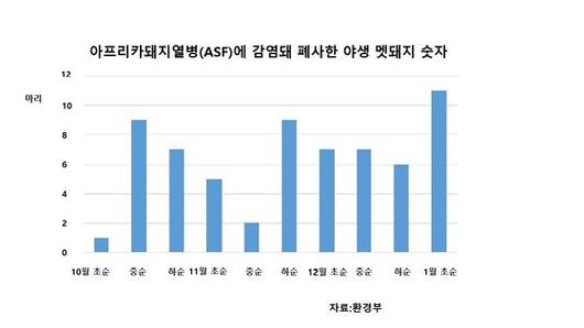 중앙일보