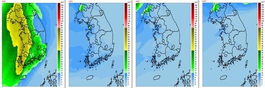 중앙일보