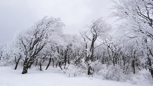 중앙일보