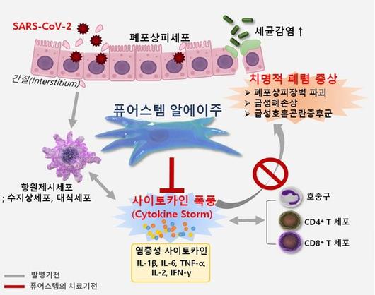 중앙일보