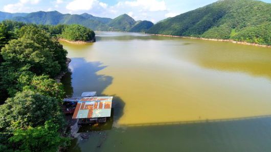 충북 옥천군 대청호 회남수역 물이 최근 내린 집중호우로 흙탕물이 됐다. 프리랜서 김성태