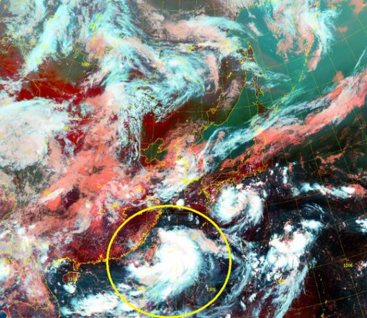 타이완 서쪽 해약 태풍 바비 주변에 구름대가 몰려있는 모습. 바비는 30도가 넘는 뜨거운 바닷물을 지나면서 계속 에너지를 흡수하고 경로상에 태풍을 약화시킬 만한 걸림돌이 적어, 현재로서는 방해받지 않고 세력을 키우며 우리나라로 올 가능성이 커보인다. 자료 기상청