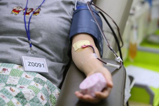 지난 7월 14일 대구 중구 삼덕동 경북대병원 본관 앞 대한적십자사가 헌혈버스 안에서 코로나19 완치 신천지 교인들이 혈장 공여에 참여하고 있다. 신천지 측은 17일까지 계속되는 혈장 공여에 코로나19 완치 신도 500여명이 참여할 것이라고 밝혔다. 뉴스1