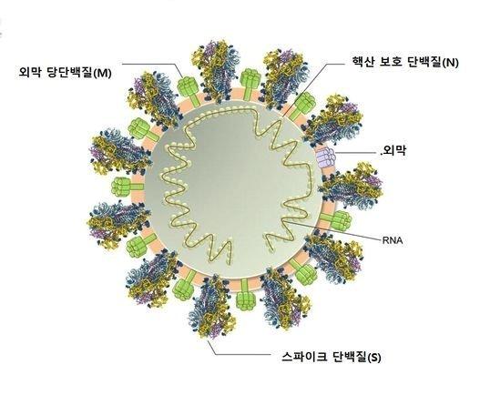 중앙일보