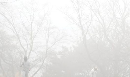 수도권을 비롯한 전국 곳곳에서 고농도 미세먼지가 한때 '매우 나쁨' 수준까지 오른 7일 남산서울타워 인근 도로가 미세먼지와 안개의 영향으로 희미하게 보이고 있다. 뉴스1