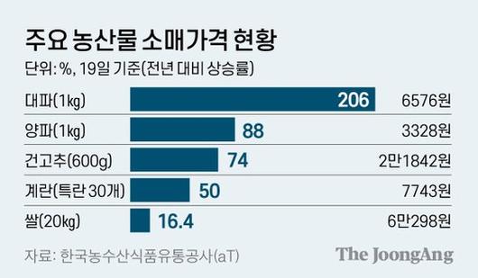 중앙일보