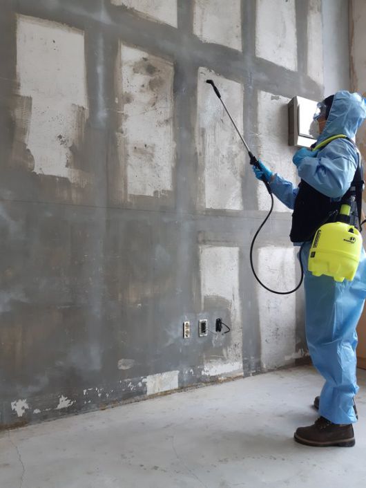 오염물을 제거한 뒤 악취를 제거하기 위해 장판과 벽지를 모두 떼어내고 소독작업을 벌이고 있다.길해용씨 제공