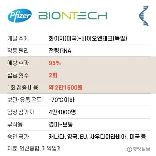 중앙일보