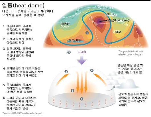 중앙일보