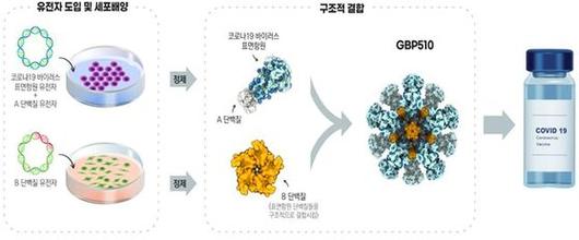 중앙일보