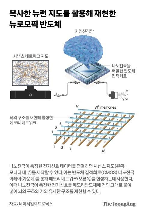 중앙일보