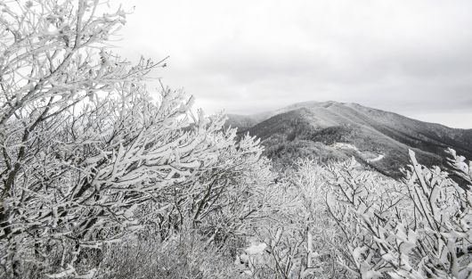 지난 11일 상고대가 핀 전북 남원의 지리산 정령치. 연합뉴스