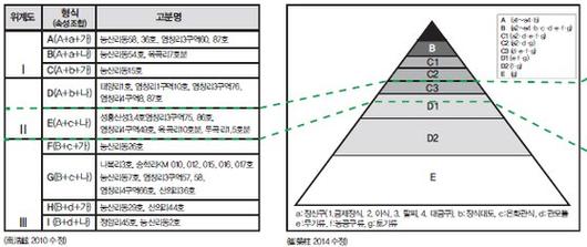 중앙일보