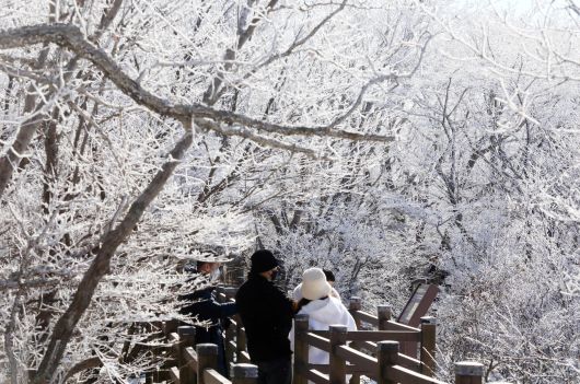 지난달 20일 제주 한라산국립공원 1100고지 일대에서 관광객과 도민들이 겨울 정취를 즐기고 있다. 뉴스1