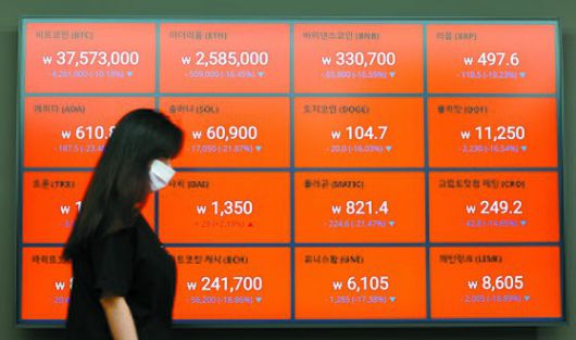 폭락한 루나 코인 추이