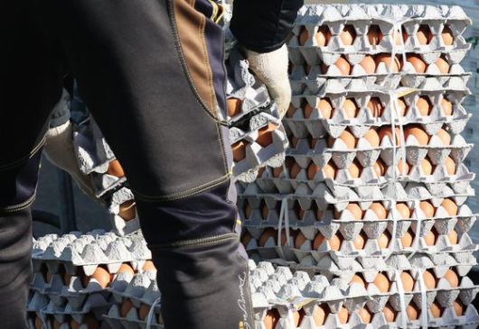 지난 1월 서울 송파구 가락농수산물종합도매시장에서 한 상인이 농가에서 들여온 달걀을 옮기고 있다. 올해 들어 계란 가격은 사료값 상승으로 인해 고공행진을 이어오고 있다. 연합뉴스