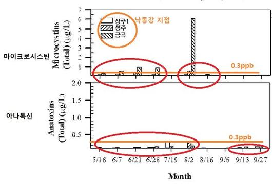 중앙일보