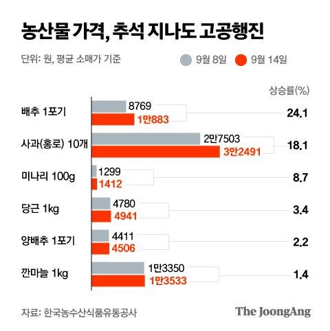 중앙일보