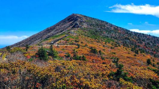 강원지방기상청은 설악산의 첫 단풍이 29일 시작됐다고 발표했다.   사진은 중청대피소에서 바라본 대청봉 일원의 단풍 모습이다. 연합뉴스