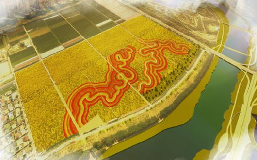 지난 26일 오후 전남 순천시 ‘순천만정원’ 상공에서 바라본 전경. 2013년 제1회 국제정원박람회장으로 사용된 국내 최대 규모의 인공정원이자 대한민국 첫 국가정원이다. 프리랜서 장정필