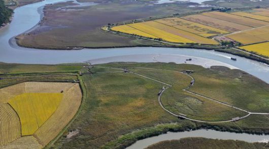 지난 26일 오후 전남 순천시 ‘순천만습지’ 상공에서 바라본 옛 새우양식장 습지복원 지형 모습. 프리랜서 장정필