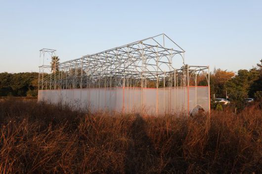 주제현대미술관 앞에 설치된 김기대 작가의 '바실리카'. 관람객이 미로와 같은 길을 직접 걸으며 제주의 자연을 체험하고 바라볼 수 있게 한 것이 특징이다. [제주=뉴시스]