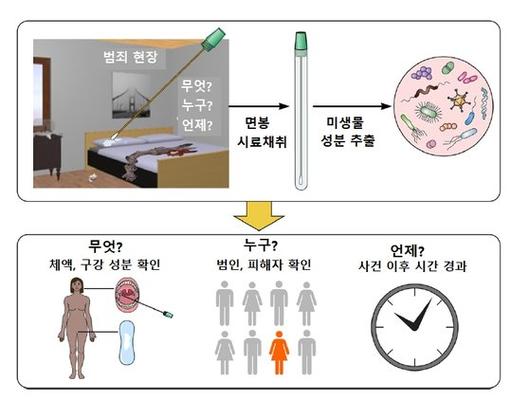 중앙일보