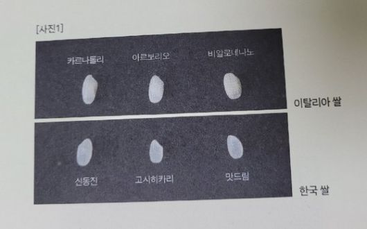 김밀란 셰프는 한국의 신동진과 이탈리아의 카르나롤리가 리조또에 적합하다고 말했다. 사진 『김밀란 리조또』